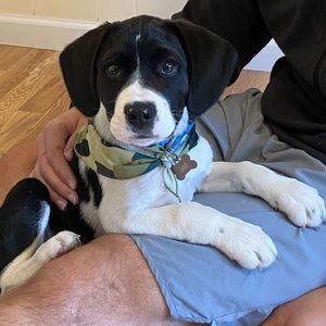 Meet your Posher, Matthew